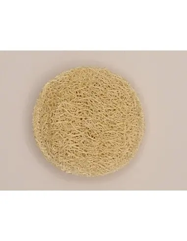 Luffa exfoliating disc Natural exfoliants 2,00&nbsp;€ Tuladeliaeco Organic Products