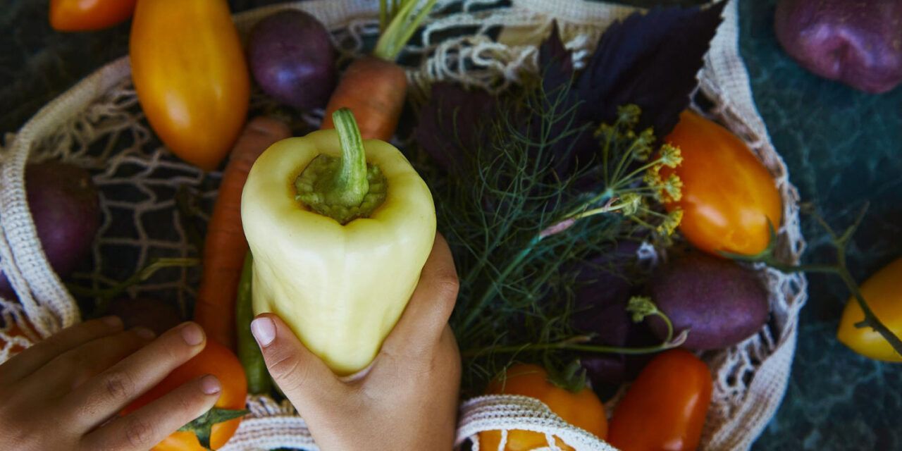 Alimentos ecológicos para fortalecer el sistema inmune en otoño