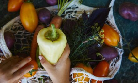 Alimentos ecológicos para fortalecer el sistema inmune en otoño