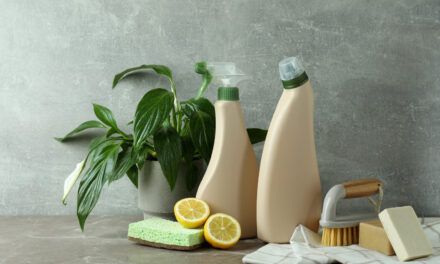 Alternativas naturales a los productos de limpieza del hogar