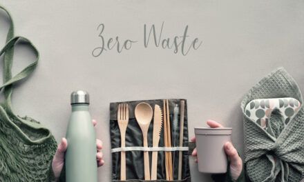 La ciencia detrás de los productos zero waste: Cómo elegir opciones inigualables y sostenibles