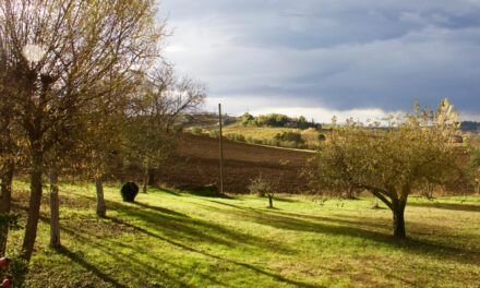 Vive un Bando de la Huerta inolvidable con sabor, tradición y sostenibilidad
