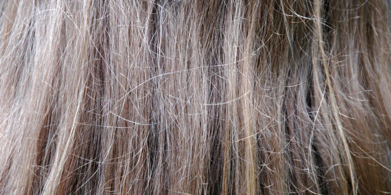 El verano no tiene por qué arruinar tu cabello: descubre el secreto eco para protegerlo
