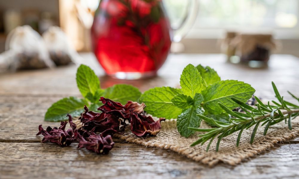 Infusiones naturales y salud: Beneficios del hibisco, la menta y el romero 1 infusiones naturales