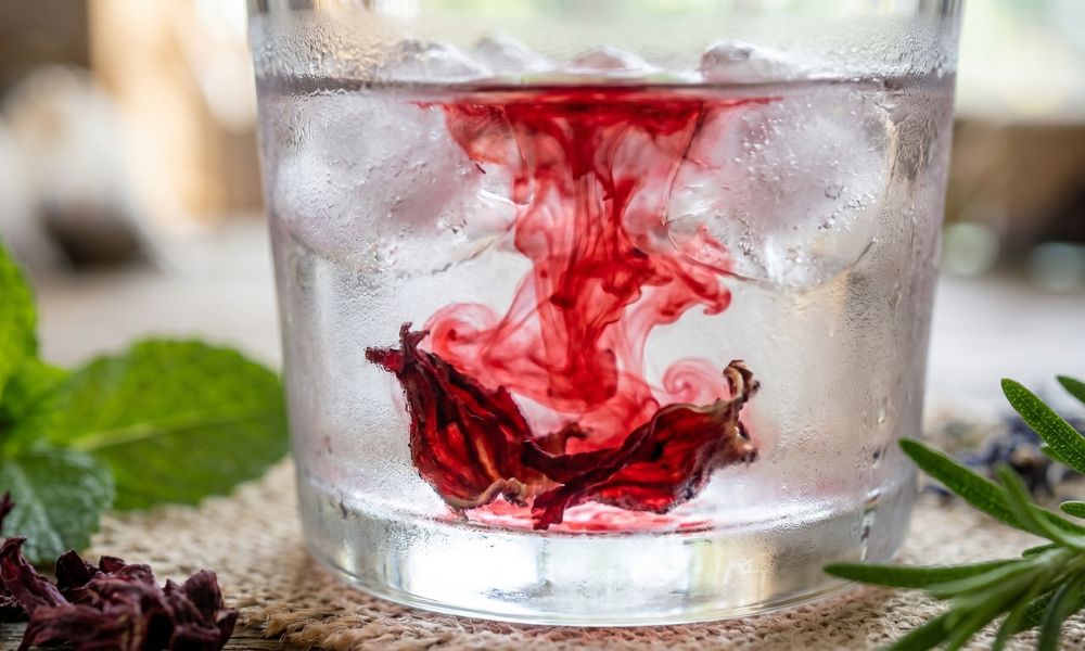 Infusiones naturales y salud: Beneficios del hibisco, la menta y el romero 2 infusiones naturales