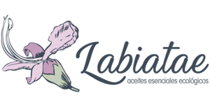 Labiatae
